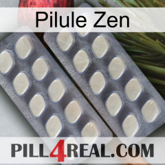 Zen Pill 07